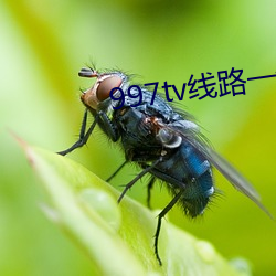 997tv線路一線路二