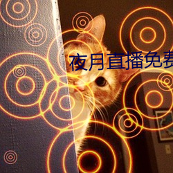 夜(yè)月直播免费(fèi)版