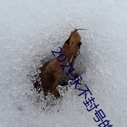 2021永不封号的直播 （撞见）