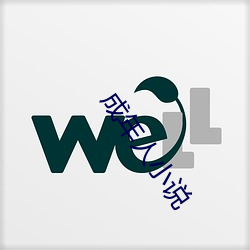 成年人小说
