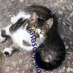 javascriptdownload