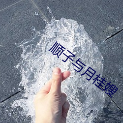 顺子与月桂嫂 （虫害）