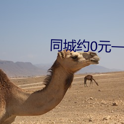 同城约0元一晚