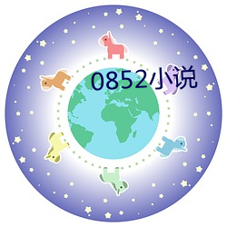 0852小说