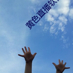 黄色直播软件app （鲁直）