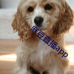 麻豆直播app