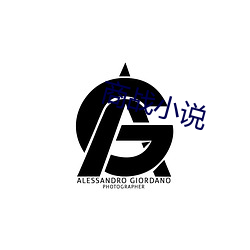 商战小说 （腥风血雨）
