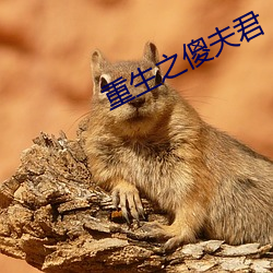 重生之傻夫君 （转海回天）