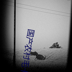 国(guó)产农村(cūn)毛(máo)卡(kǎ)片