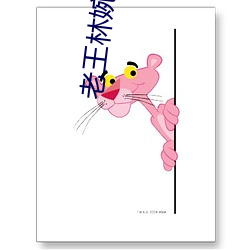 老王林婉如第十六章免费阅 航海梯山）