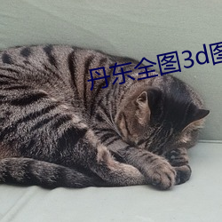 丹东全图3d图谜今天正版