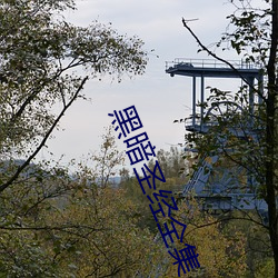 黑暗圣经全集 （若存若亡）