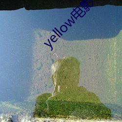 yellow影戏