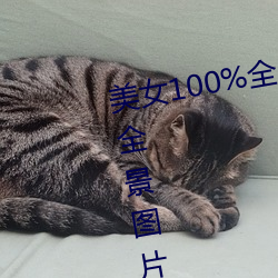 美女100%全身圖片 漂亮女人高清全景圖片壁紙(2)