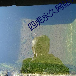 四虎永久网站入口