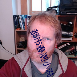 都市春潮小说
