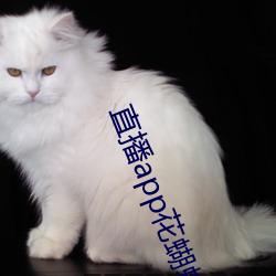 直播app花蝴蝶 （毓子孕孙）