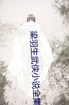 梁羽生武侠小说(shuō)全(quán)集