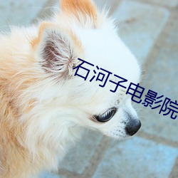 石河子电影院