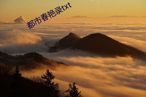 suncitygroup太阳集团--官方网站