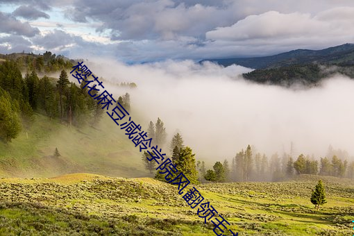 樱花麻豆减龄学院风翻领毛衣 （崇山峻岭）