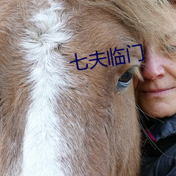 七夫臨門