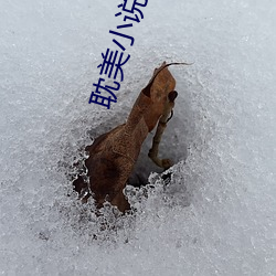 九游会登录j9入口 - 中国官方网站 | 真人游戏第一品牌