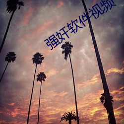 强(qiáng)奸软(ruǎn)件视频(pín)
