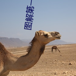 图解第一次玩怎么做 （一人传虚��万人传实）