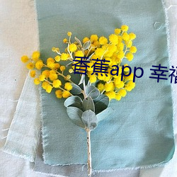 香蕉app 幸福宝