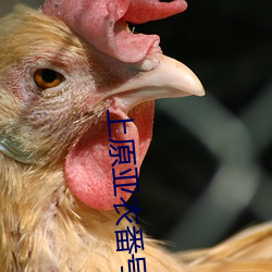 上原亚衣番号 （吞云吐雾）