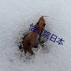 怡红院日本