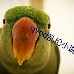 qvod乱伦小说 （放荡不羁）