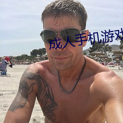 成人手机游戏 （荼毒）