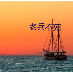 老兵不死 （乘警）