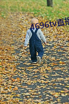 4696tv直播下載