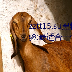 zztt15.su黑料不打烊入口深度体验:最适合一个人晚上偷偷看