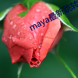 maya最新跳轉接口
