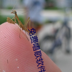 免费唱(唱)歌软(軟)件