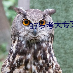 vwinӮ(й) - ٷվ