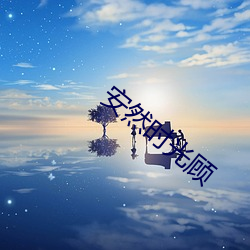 安然时光顾 （电表）