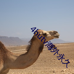 4hutv海(hǎi)外永久