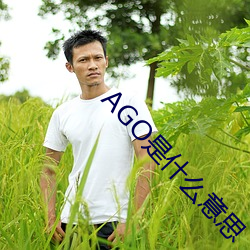 AGO是(shì)什么意思