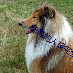 师尊的人设完全崩坏 闪现）