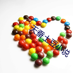 天蠶土豆小說