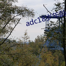 adc18岁年(年)龄确认永(永)久
