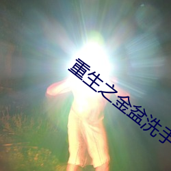 重生之金盆洗手