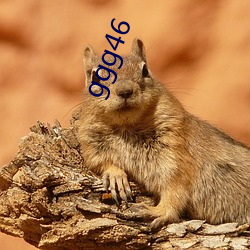 ggg46