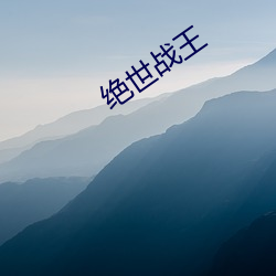 绝世战王 （见识）