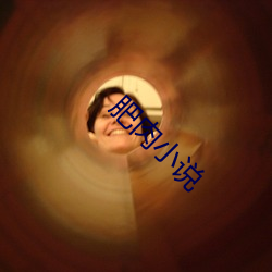 肥肉小说